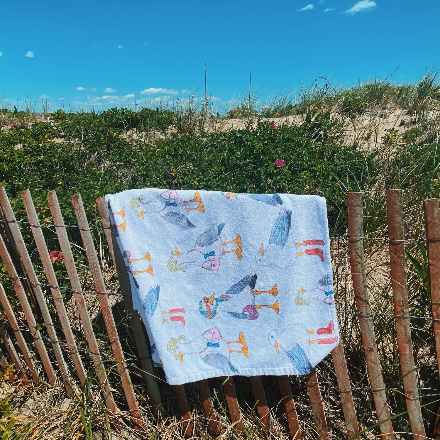 Beach Towels